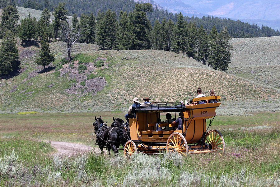 Stagecoach Yellowstone USA #4 Photograph by Bob Savage