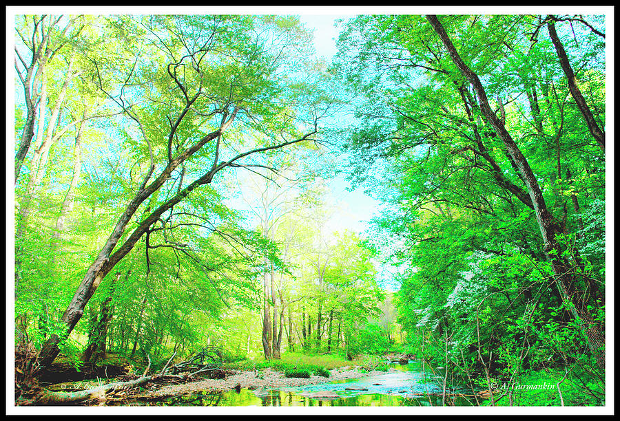 Stream in Spring, Montgomery County, Pennsylvania #4 Photograph by A Macarthur Gurmankin