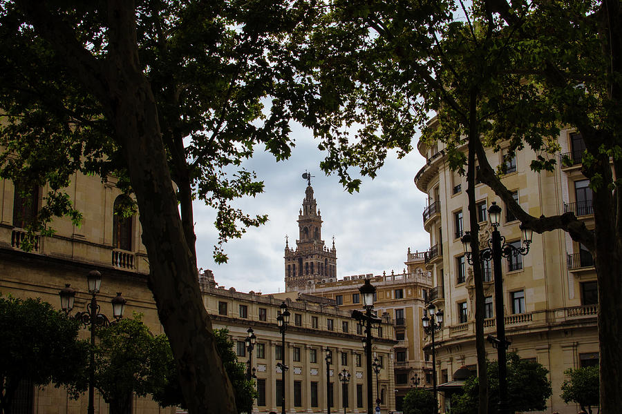 Streets of Seville - Giralda from Plaza Nueva Photograph by AM FineArtPrints