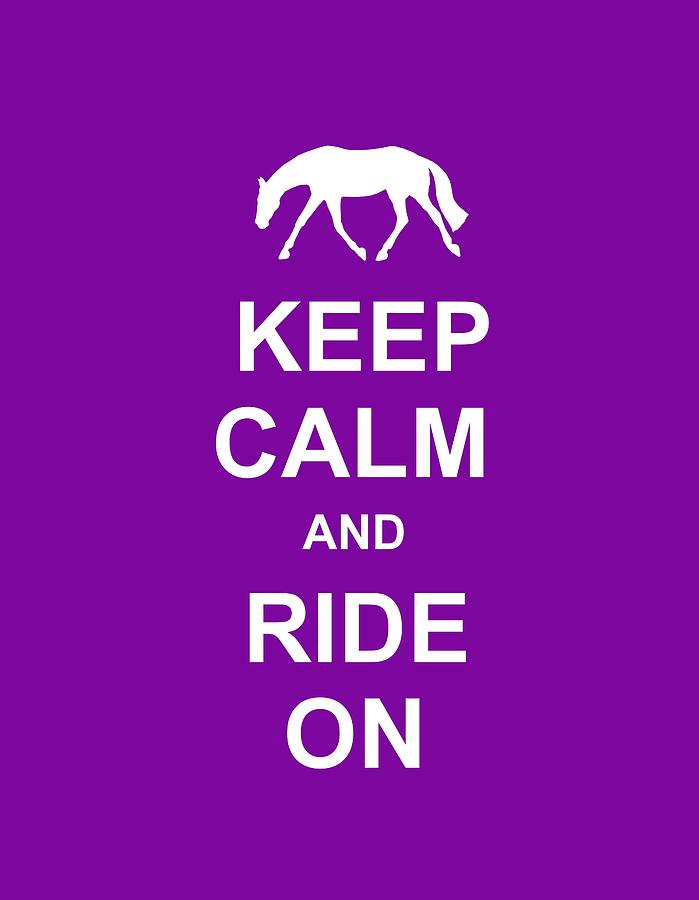 Keep Calm At Training Level Photograph by Dressage Design