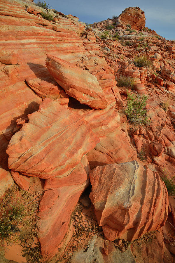 Stripes of Color in Valley of Fire #4 Photograph by Ray Mathis
