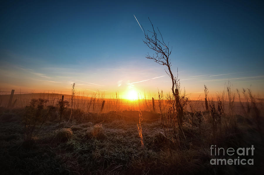 Sunrise #4 Photograph by Mariusz Talarek