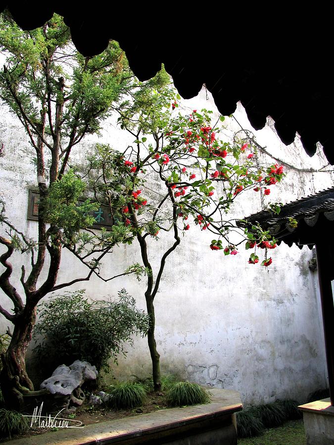Suzhou Gardens #1 Photograph by Marti Green
