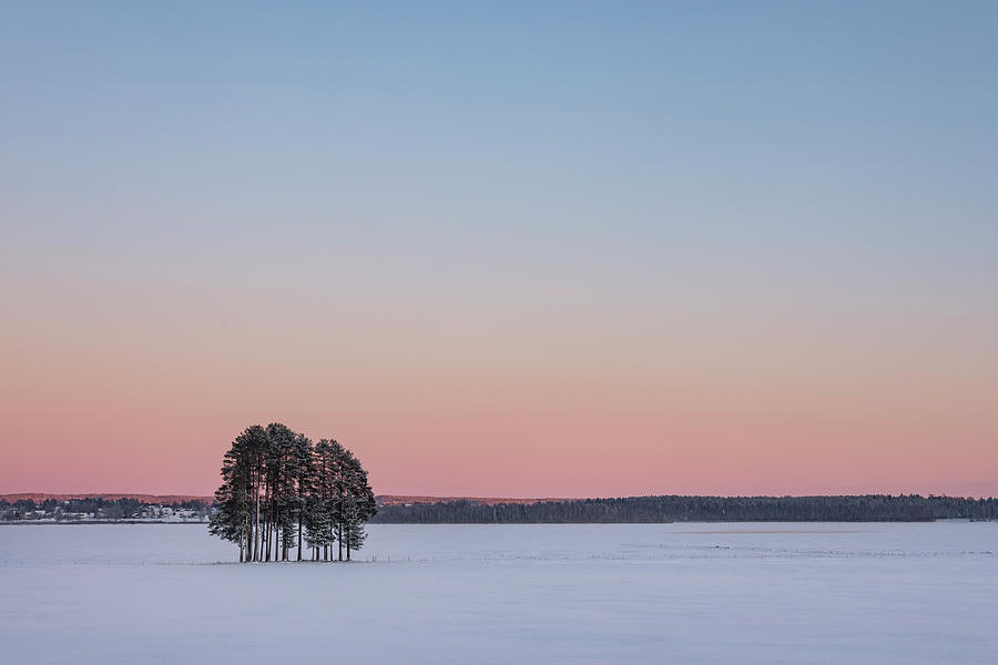 Swedish Lapland #4 Photograph by Joana Kruse