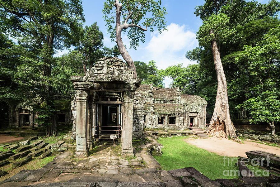 Ta Prohm temple in Angkor #4 Photograph by Didier Marti