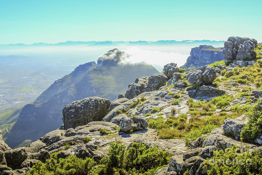 Table Mountain National Park Photograph by Benny Marty - Pixels