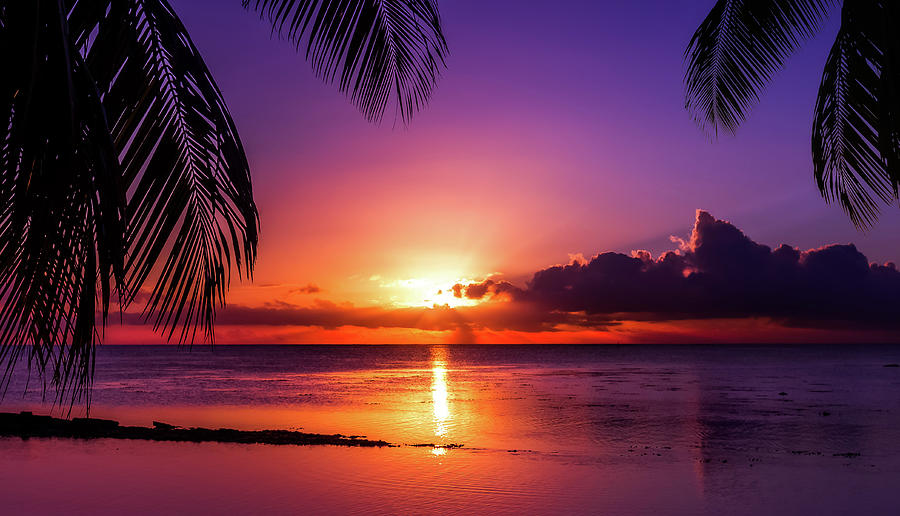 Tahiti Sunset #4 Photograph by Jonathan Ross - Fine Art America