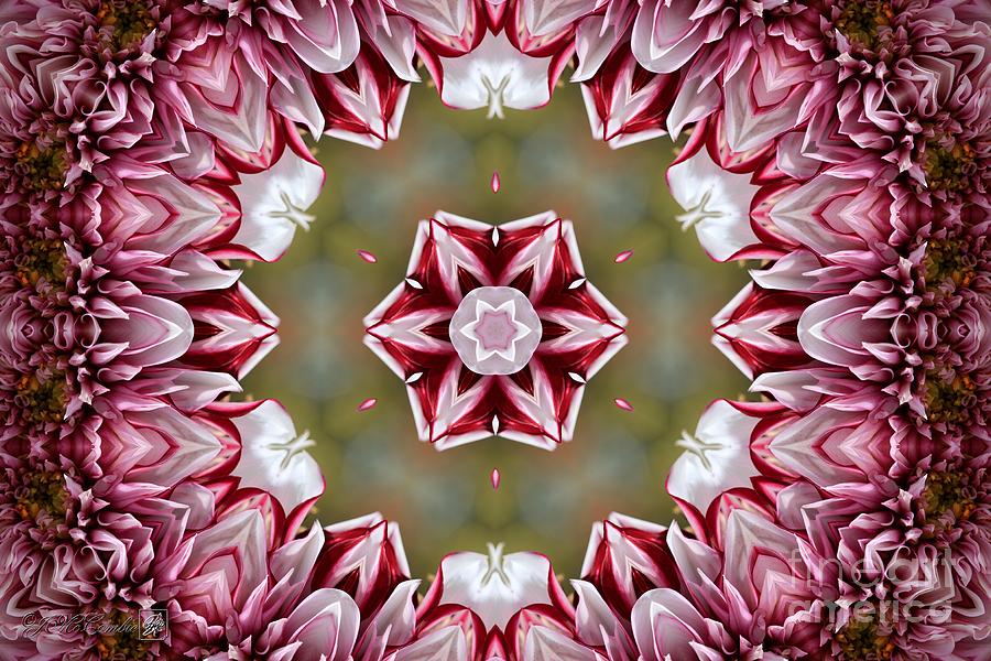 Tartan Mandala #3 Digital Art by J McCombie