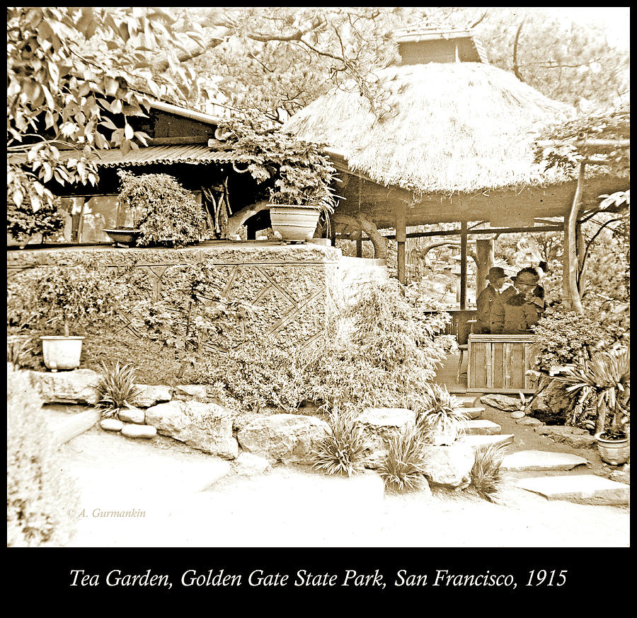 Tea Garden, Golden Gate State Park, 1915 #4 Photograph by A Macarthur Gurmankin