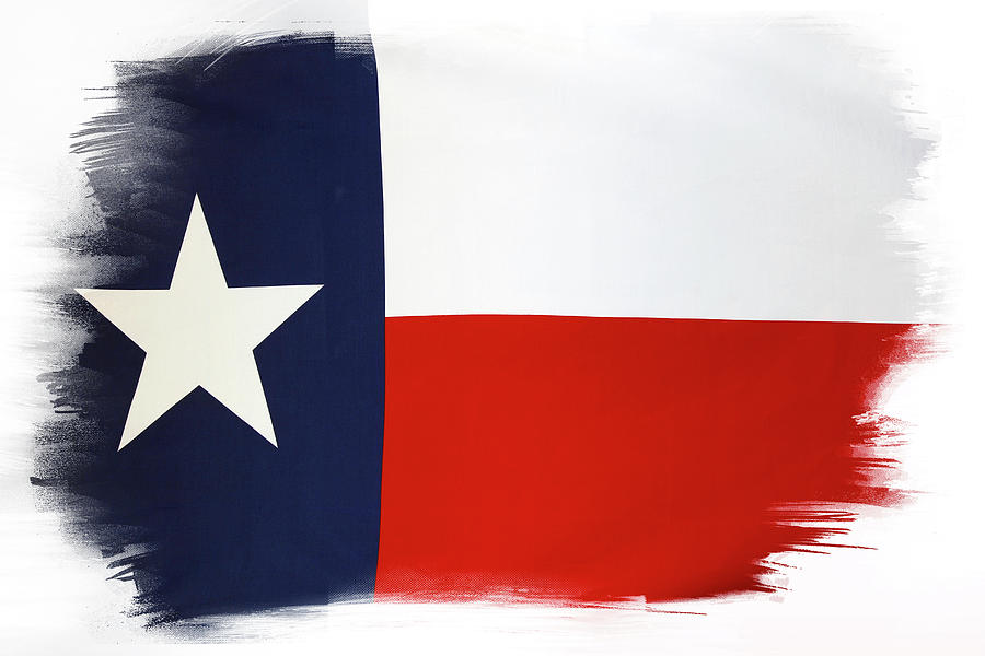 Texas flag #4 Photograph by Les Cunliffe