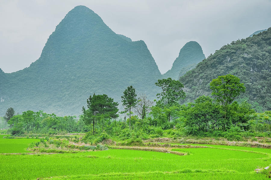 The beautiful karst rural scenery #4 Photograph by Carl Ning