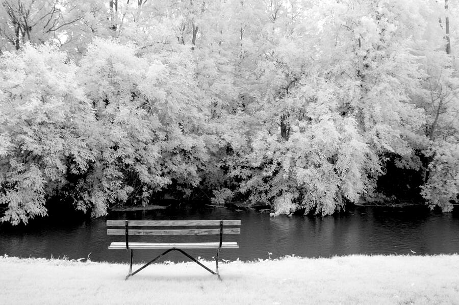 The Bench #4 Photograph by Paul W Faust - Impressions of Light