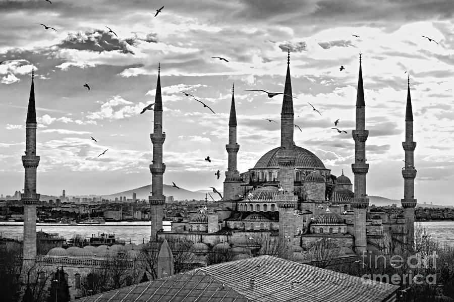 The Blue Mosque - Istanbul #4 Photograph by Luciano Mortula