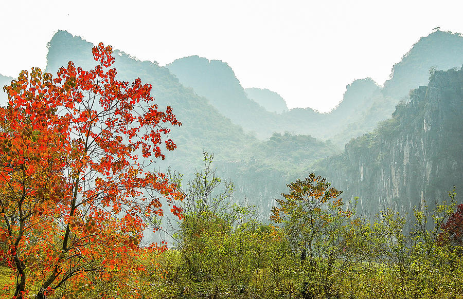 The colorful autumn scenery #4 Photograph by Carl Ning