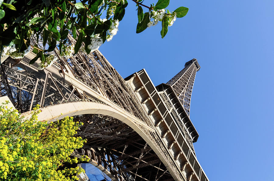 The Eiffel Tower in Paris #4 Photograph by Dutourdumonde Photography