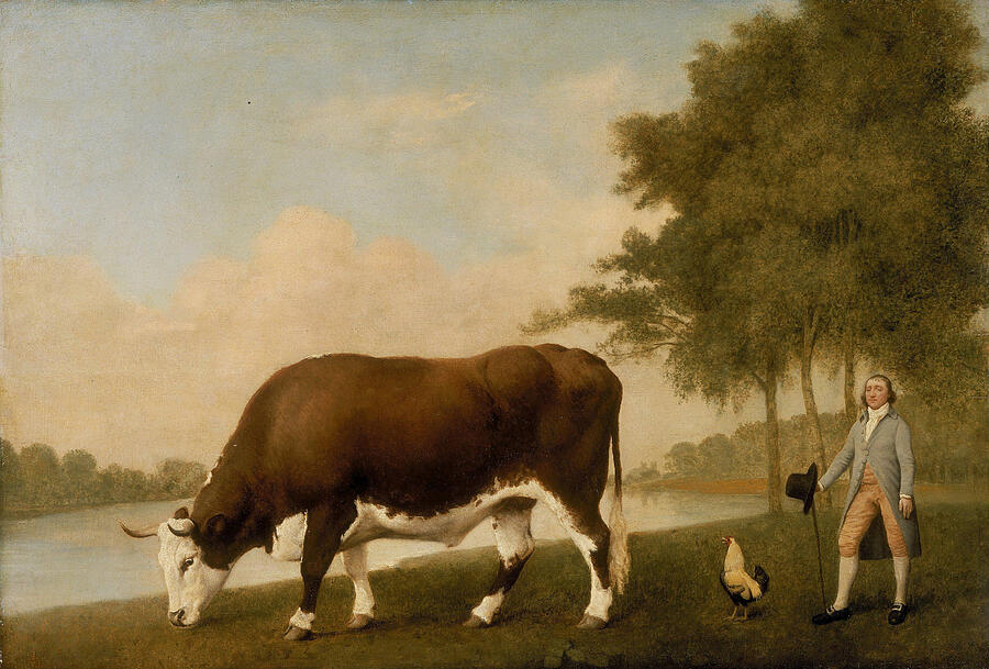 The Lincolnshire Ox, from 1790 Painting by George Stubbs