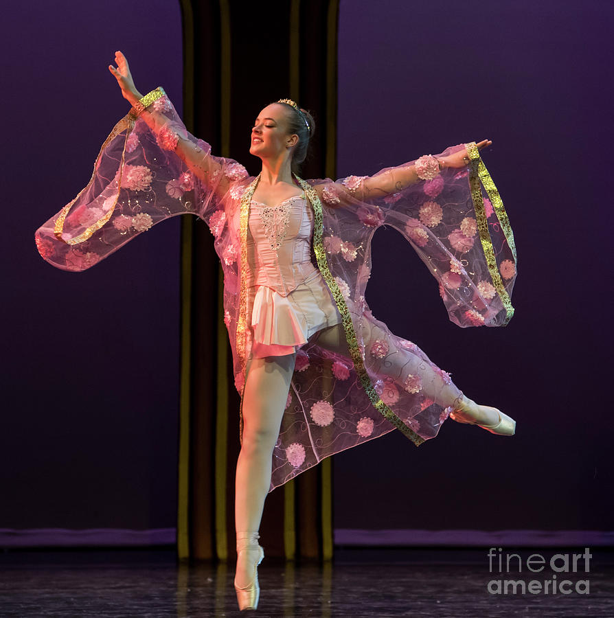 The Nutcracker Ballet by Ballet Conservatory of Asheville Photograph by ...