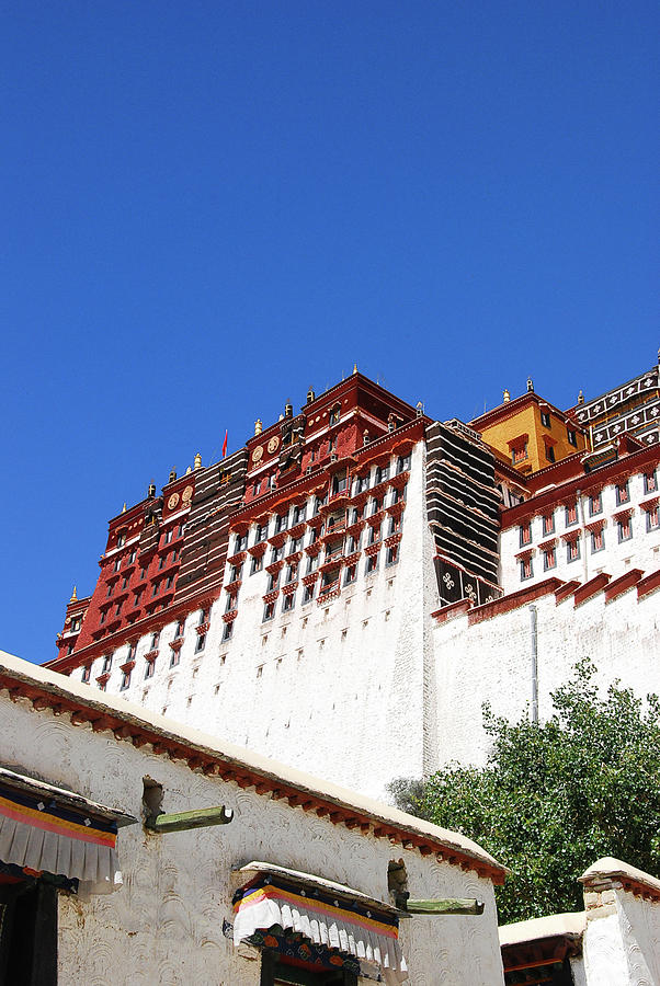 The Potala Palace #4 Photograph by Carl Ning