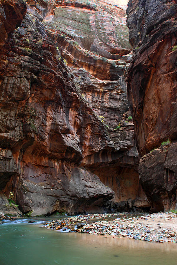 the Virgin narrows in Zion #4 Photograph by Pierre Leclerc Photography