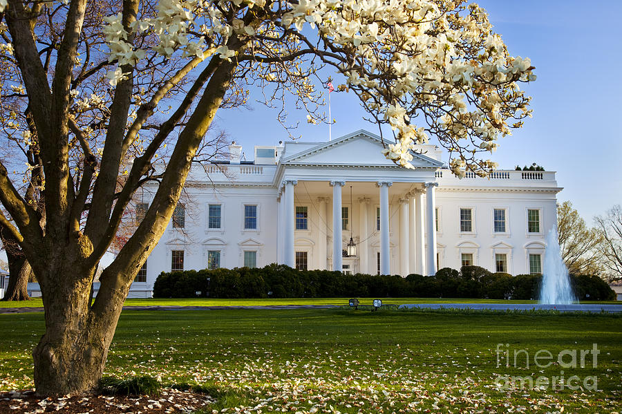 The White House #4 Photograph by Brian Jannsen