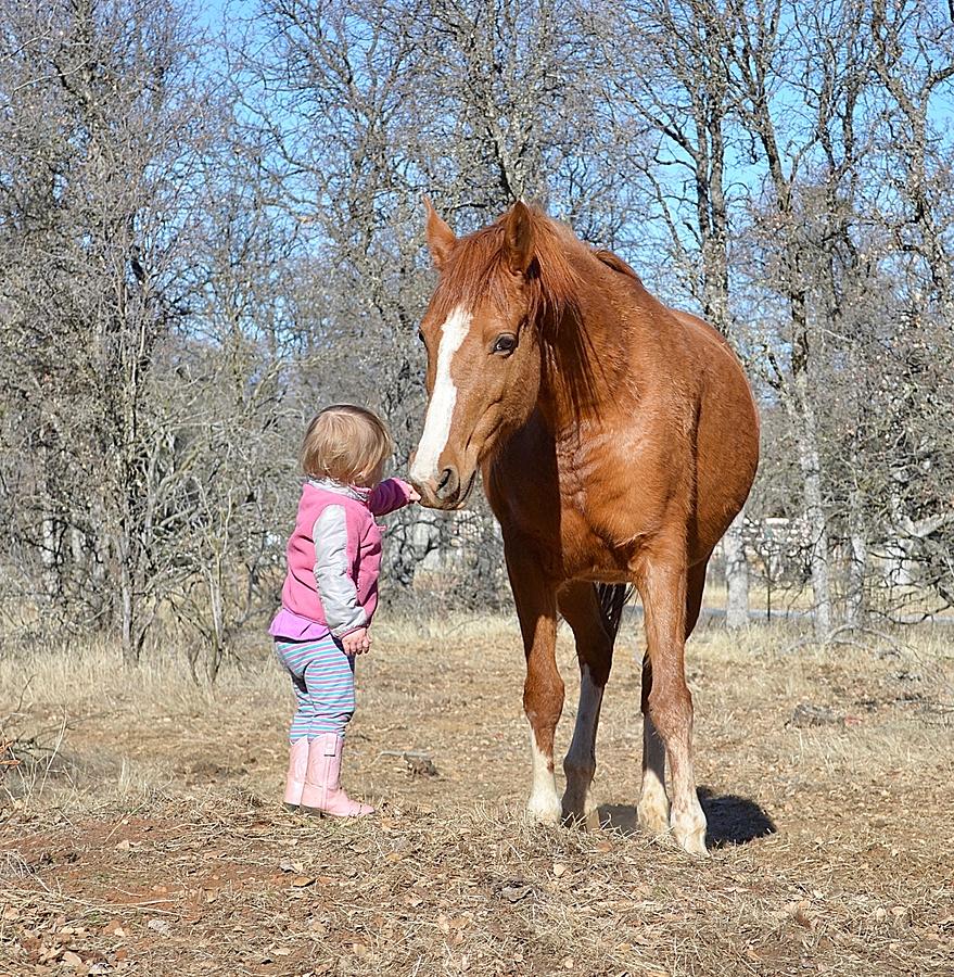Toddler and Horse #4 Photograph by Maria Jansson