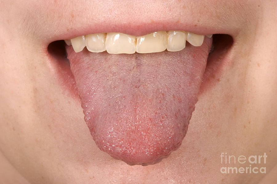 Tongue #4 Photograph by Ted Kinsman