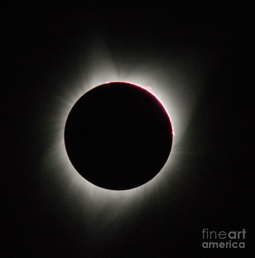 Total Solar Eclipse #1 Photograph by Mark Jackson