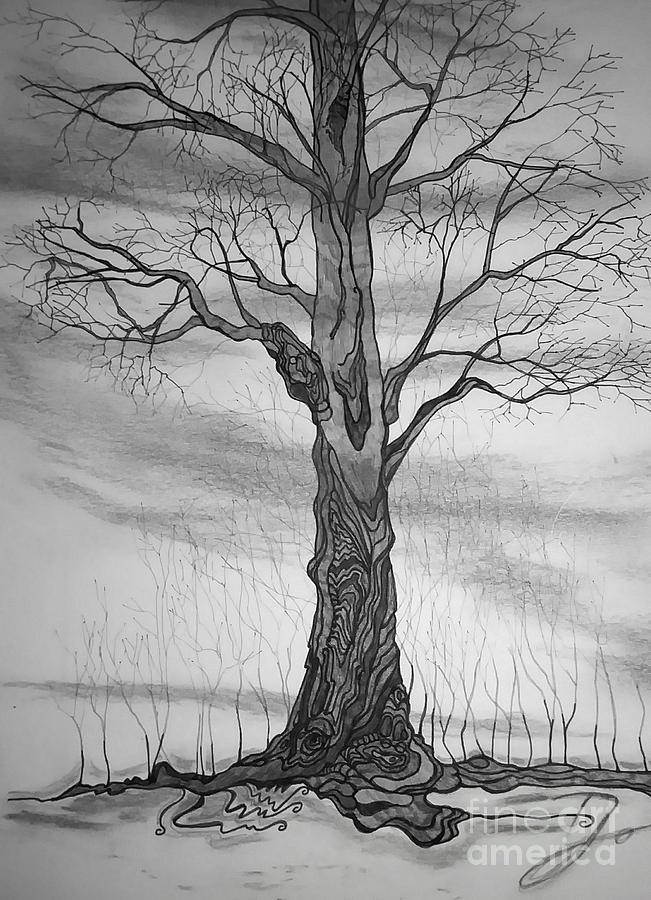 #4 Tree Appreciation Drawing by Tracy Jo Klatke - Fine Art America