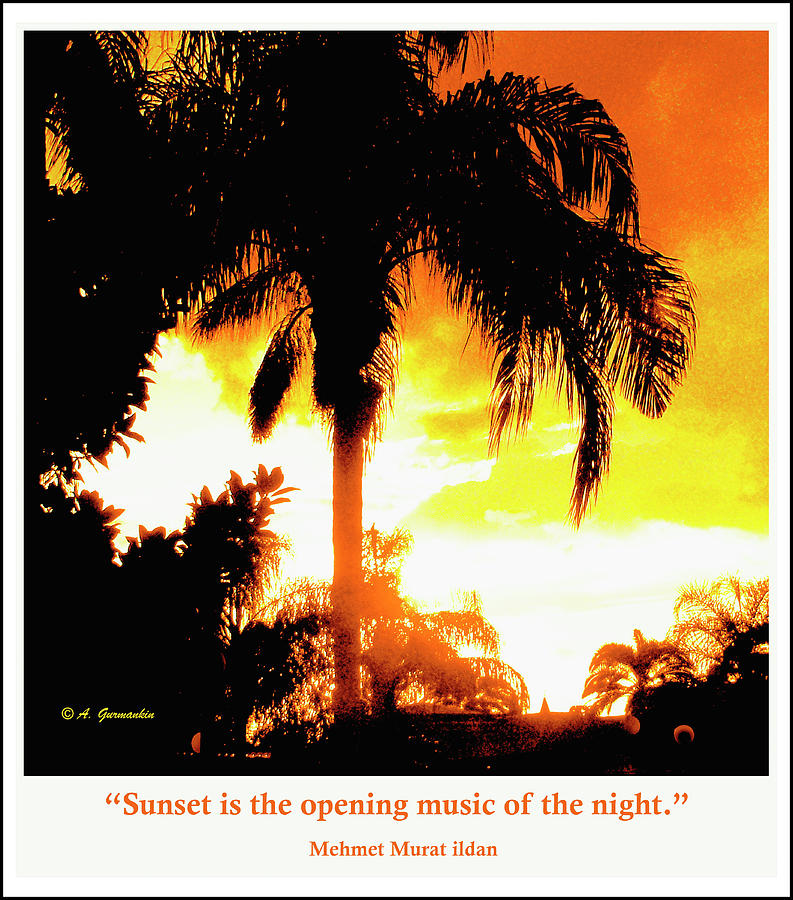 Tropical Sunset with Palm Tree Silhouettes #4 Photograph by A Macarthur Gurmankin
