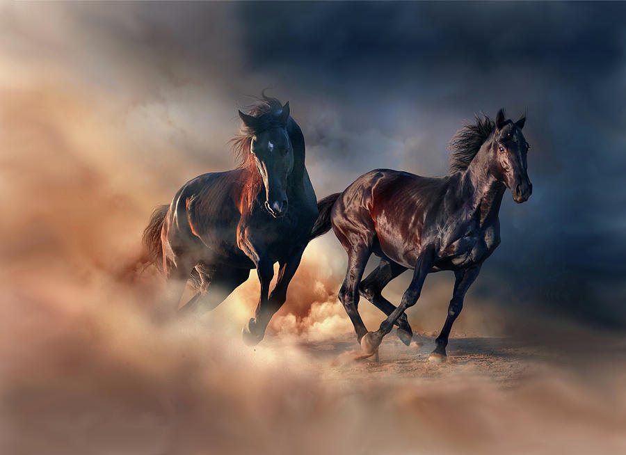 Two horses Digital Art by Lilia D