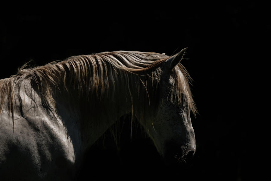 Untitled by Ryan Courson Untitled by Ryan Courson