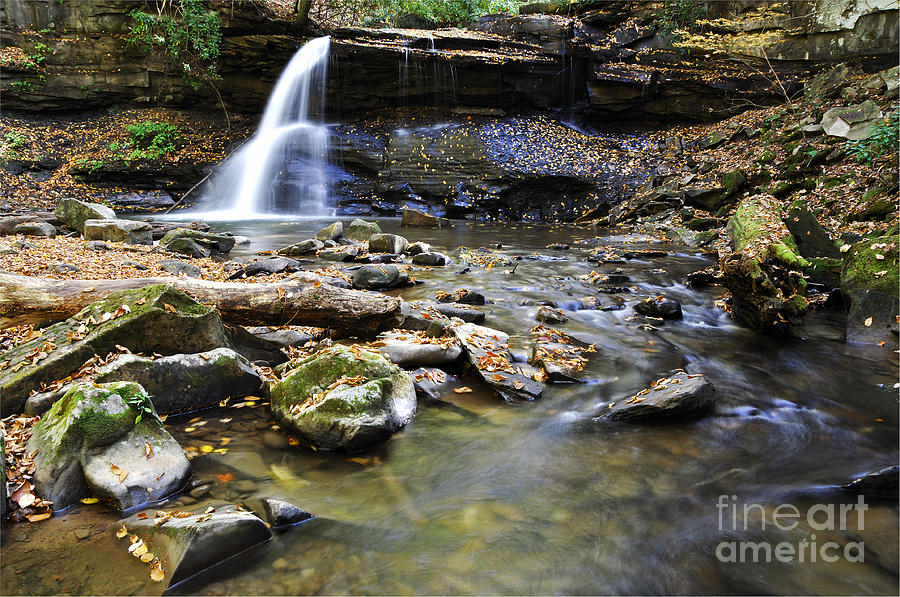 Waterfall Photograph - Upper Falls Holly River State Park #4 by Thomas R Fletcher