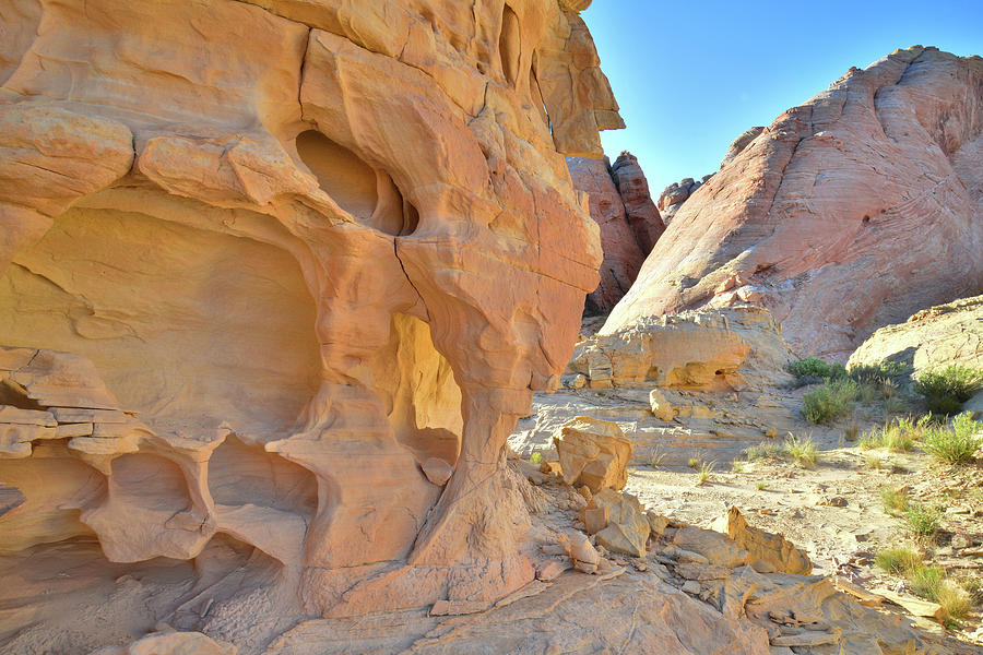 Valley of Fire Back Country #8 Photograph by Ray Mathis
