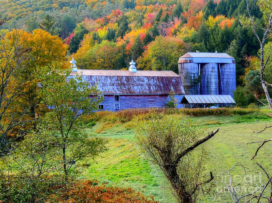 Vermont Barn #3 Photograph by Steve Brown