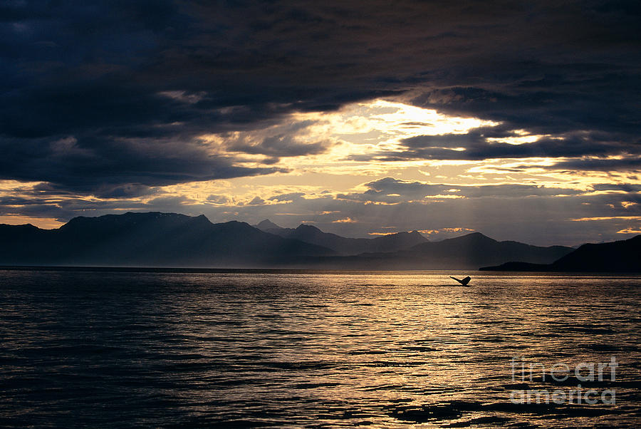 Sunset Photograph - View Of Alaska #4 by John Hyde - Printscapes