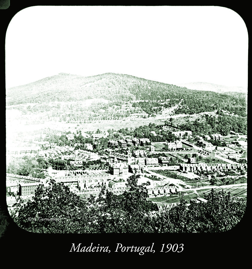1903 Photograph - View of Madeira, Portugal, 1903 #4 by A Macarthur Gurmankin