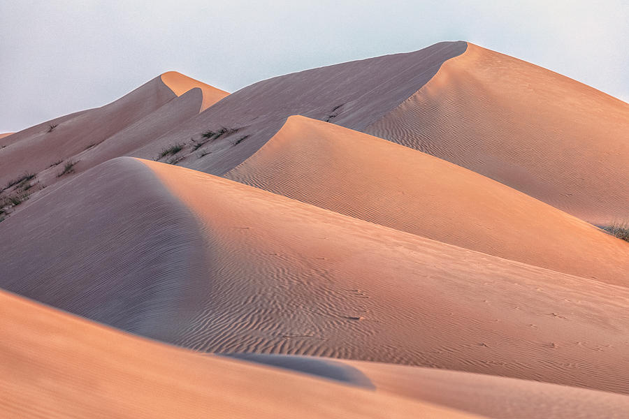 Wahiba Sands - Oman #4 Photograph by Joana Kruse
