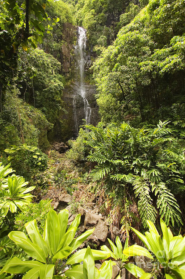 Wailua Falls #4 Photograph by Ron Dahlquist - Printscapes