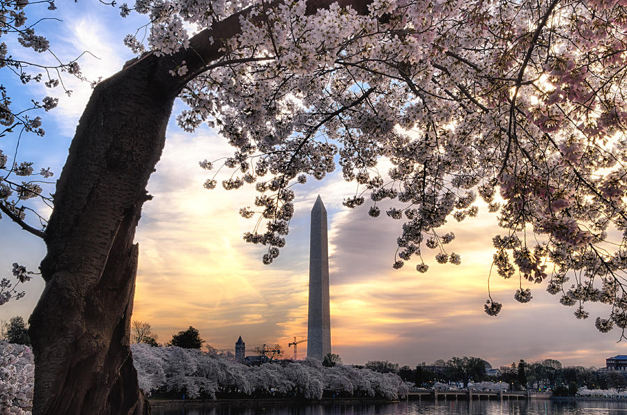 Washington Monument Photograph - Washington Monument #4 by Daniel Potter