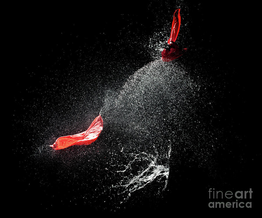 Water Explosion #4 Photograph by Gualtiero Boffi