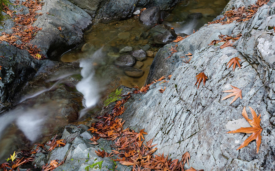Water Stream Flowing In The River In Autumn Photograph