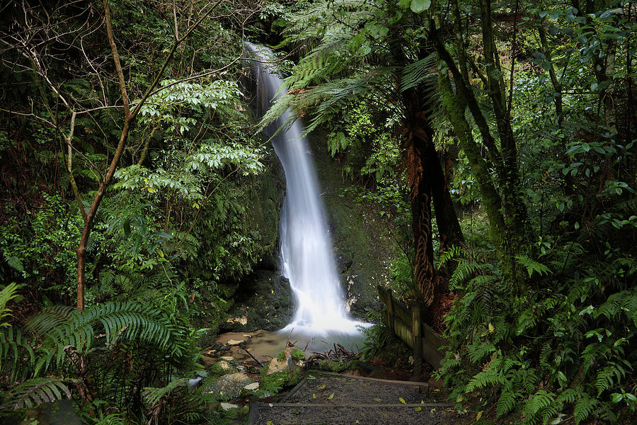 Waterfall, New Zealand #4 Photograph by Les Cunliffe