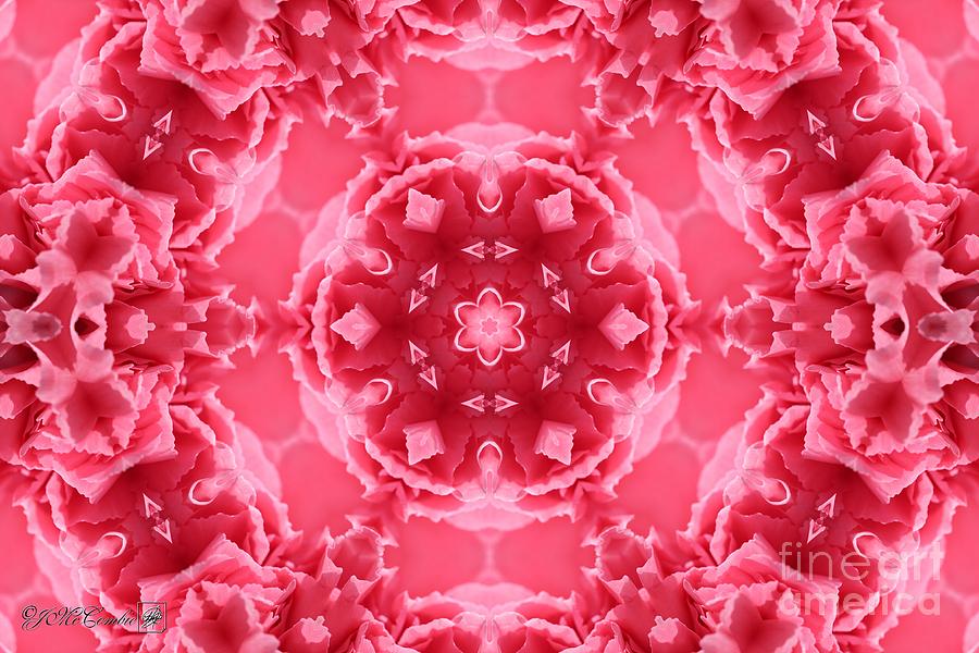 Watermelon Carnation Ruffles Mandala #4 Digital Art by J McCombie