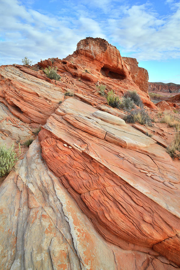 Wave of Color in Valley of Fire #5 Photograph by Ray Mathis