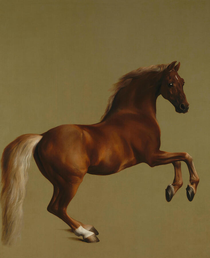 Whistlejacket, from circa 1762 Painting by George Stubbs