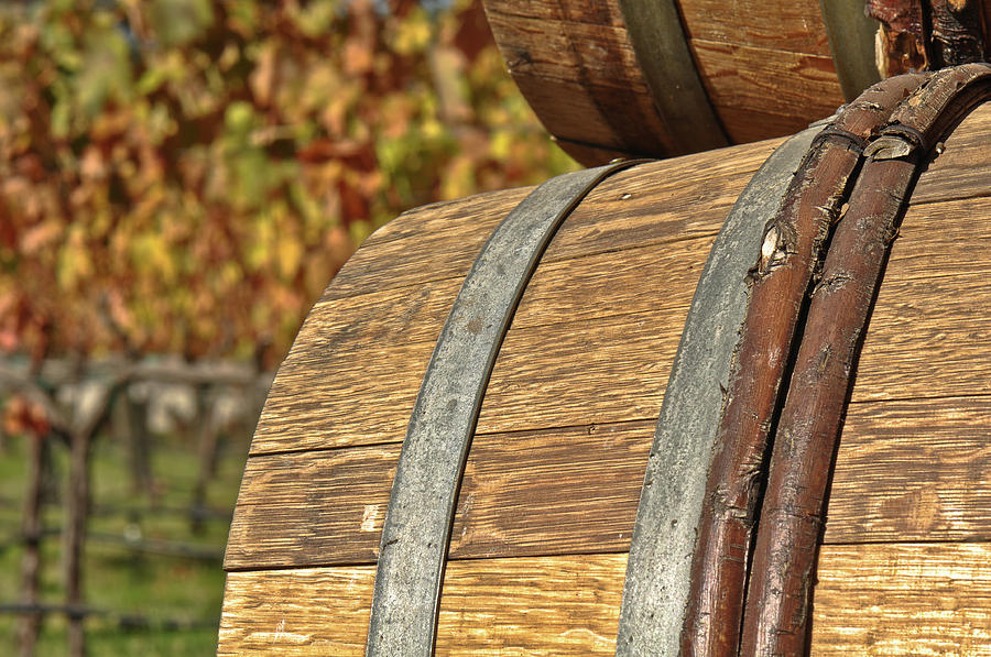 Wine Barrel #3 Photograph by Brandon Bourdages