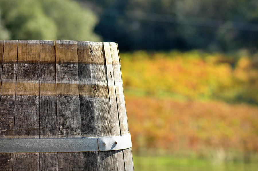Wine Barrel In Autumn Photograph