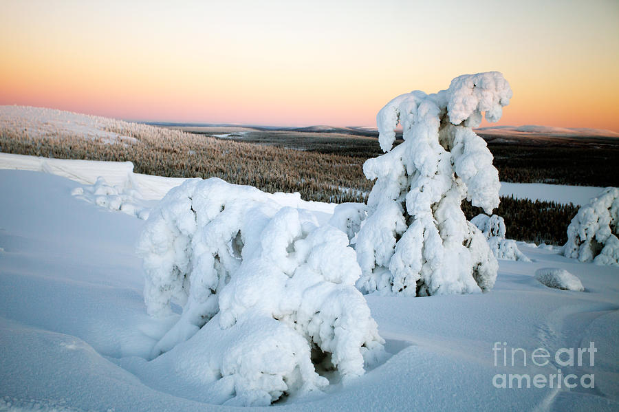 Winter in Lapland Finland #4 Photograph by Kati Finell