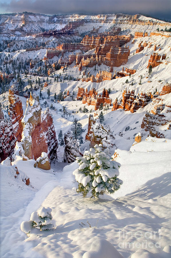 Winter Sunrise Bryce Canyon National Park Utah #4 Photograph by Dave Welling