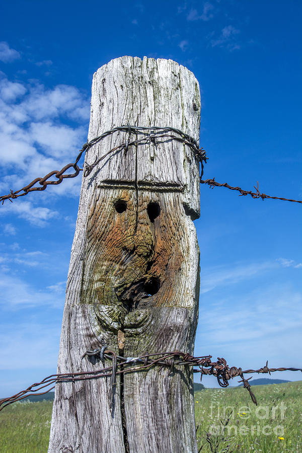 Blue Sky Photograph - Wooden post #4 by Bernard Jaubert